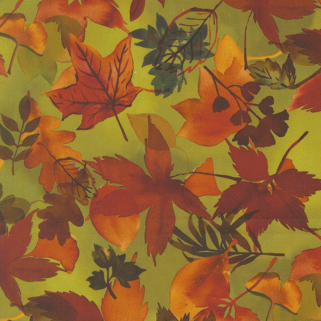 Northern Brights