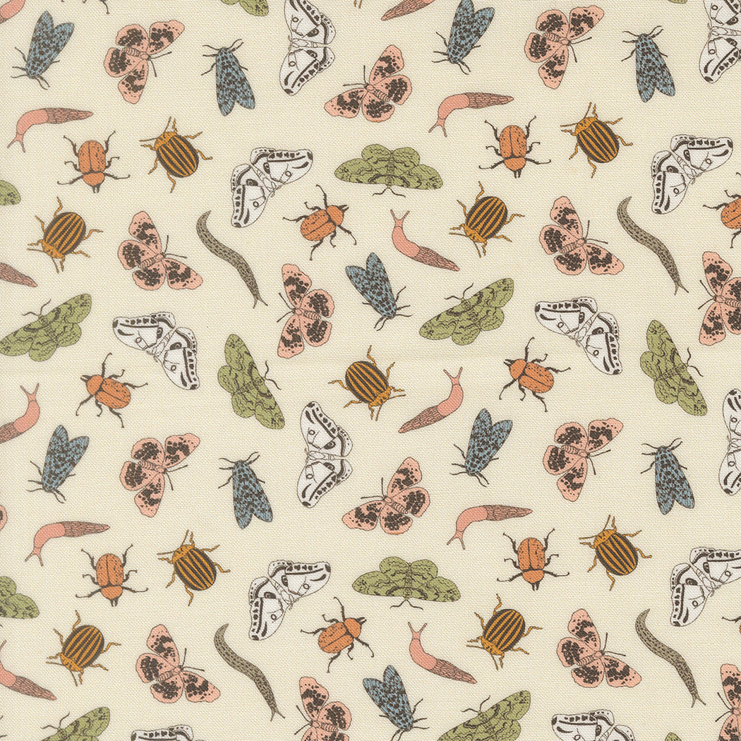 Bugs & Insects