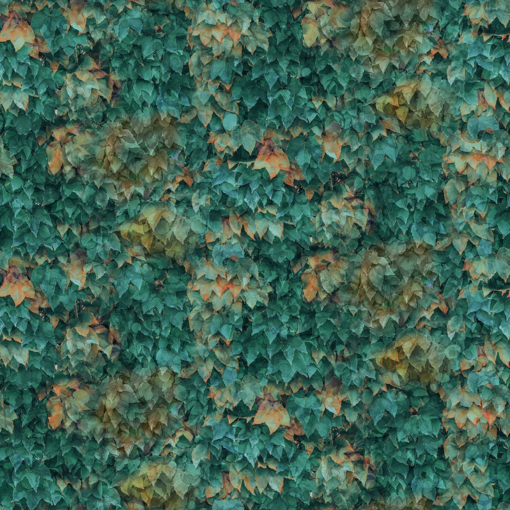 Autumn Breeze