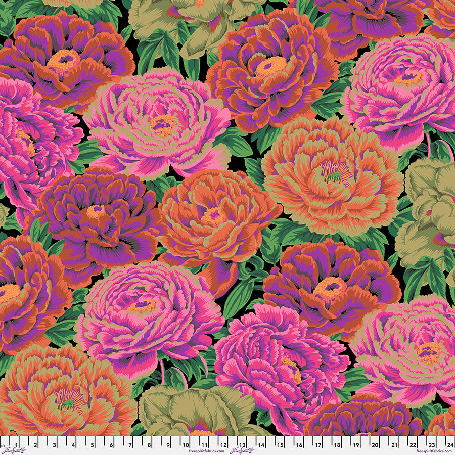 Kaffe Fassett Collective 2025